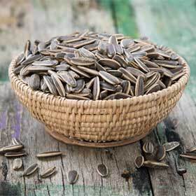 What they call a sunflower seed is, in fact, the seed of a variety of rapeseed.