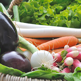 Leonardo da Vinci was vegetarian.