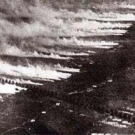 Nearly 100,000 soldiers were killed by toxic gas.