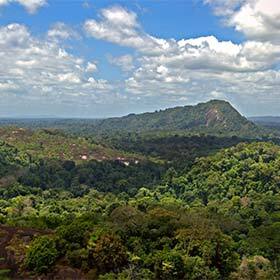 La Réserve naturelle du Suriname central se trouve au centre de l’Asie.