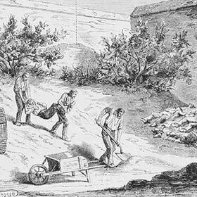 Like Mozart, Michelangelo was buried in complete anonymity.