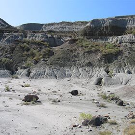 Dinosaur Provincial Park is located in China, near Mongolia.