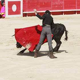 La couleur rouge rend les taureaux agressifs.