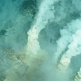 Hydrothermal vents are the oases of the seabed.