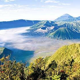 Java est l’île la plus peuplée du monde.