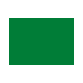 De 1977 jusqu’en 2011, le drapeau de la Libye était entièrement vert.