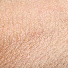 On average, a person will lose more than 50 lb. (22 kg) of skin during his life.