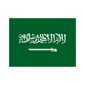 The flag of Saudi Arabia features a sword.