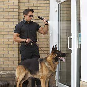C’est un chien de garde qui a détecté la présence de cambrioleurs dans le complexe du Watergate.