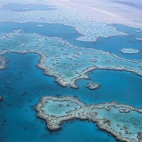 La Grande Barrière de corail se trouve dans la mer des Caraïbes.