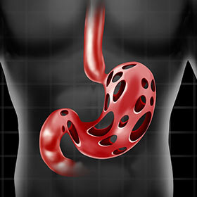 The stomach acid is so powerful that it could eat right through a piece of wood.