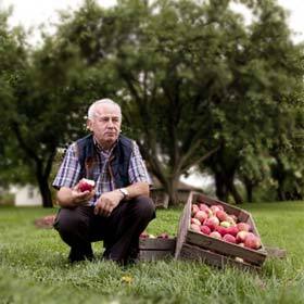 Le nombre de « m » est correct dans : « Le pommiculteur communiste est fier de ses pommes. »