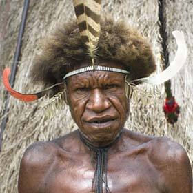 The Papuans of New Guinea imposed their languages on the other tribes of the island.