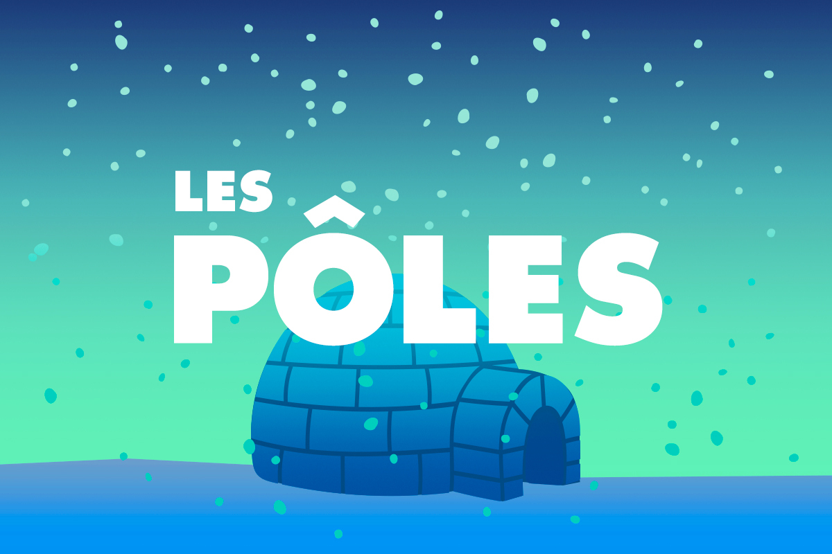 The poles | Quipoquiz
