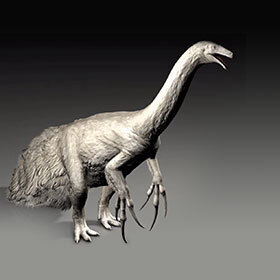Les griffes de Therizinosaurus mesuraient 1 m (3,25 pi) de longueur.