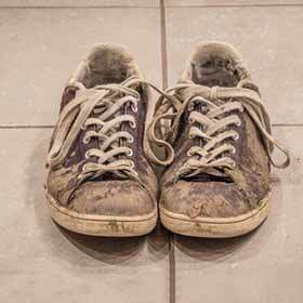 « J’en ai marre de salir mes chaussures dans la mare » ne contient pas de fautes.
