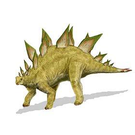 Stegosaurus’ pointed plates ended with extremely venomous stings.