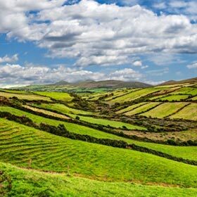 Avec ses vastes terrains vallonneux, l’Irlande est un endroit idéal pour la culture des céréales.