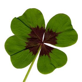 Le trèfle à quatre feuilles est le symbole de l’Irlande.