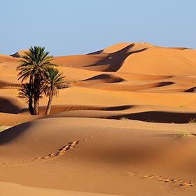 Le désert du Sahara est plus grand que le Mexique.