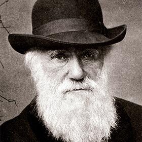 Darwin developed his theory on the evolution of the species in Madagascar.