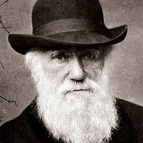 C’est à Madagascar que Darwin a développé sa théorie sur l’évolution des espèces.