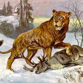 Les lions des cavernes ont été exterminés par les hommes de Cro-Magnon.