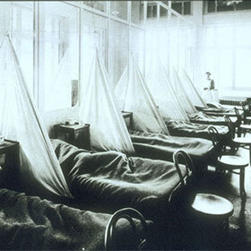 Between 1918 and 1920, the Spanish flu killed more people than the First World War.