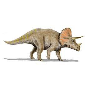 Triceratops skewered its prey with its sharp horns.