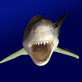 The great white shark can detect a drop of blood in more than 1,056,688 gallons of water (4,000,000 liters).