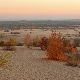 La Pologne abrite un désert de sable.