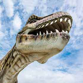 Tyrannosaurus rex was 16 to 19.5 ft. (5 to 6 m) in length, or as much as an adult elephant.