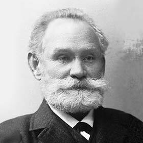 Pavlov conducted numerous experiments on chimpanzees in his research on reflexes.