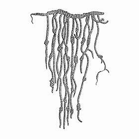 The Incas communicated with quipus, a group of strings whose combinations and knots were endowed with meanings.