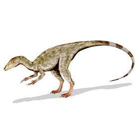 Compsognathus was as big as a horse.