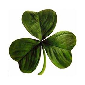 Le symbole du trèfle aurait servi à saint Patrick pour expliquer la trinité aux Irlandais.